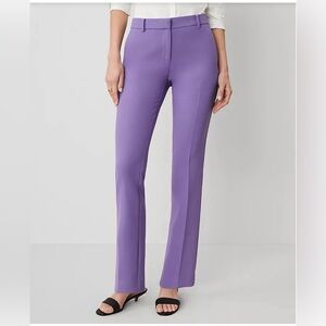 Ann Taylor Lavender straight Dress Pants